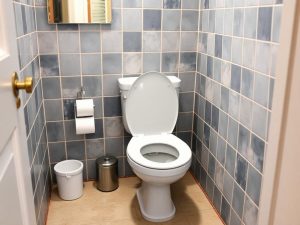 Mauvaises odeurs dans les toilettes : 5 astuces pour les éliminer !