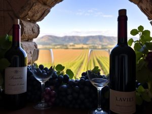 Sans cave, ou installer sa cave à vin dans la maison ?