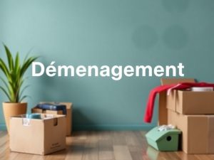 Déménagement en urgence toutes destinations : organisation, conseils, coût !