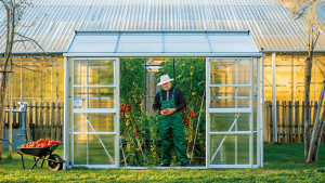 serre de jardin professionnelle