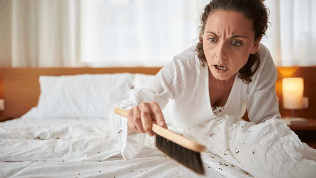 Comment se débarrasser des acariens à la maison ?