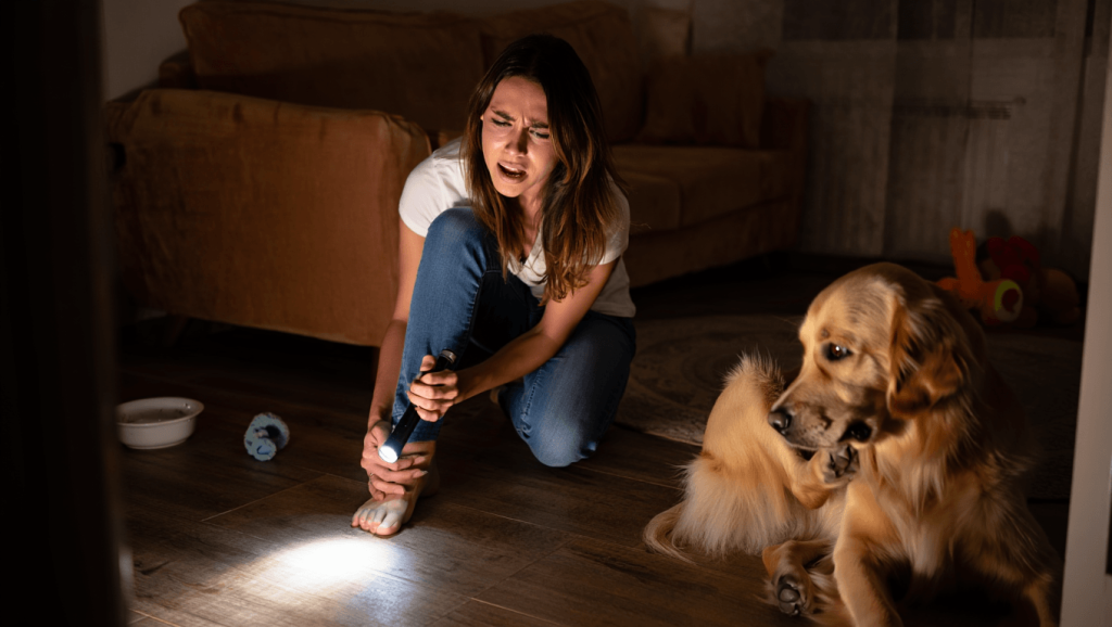 Comment se débarrasser des puces de parquet ?