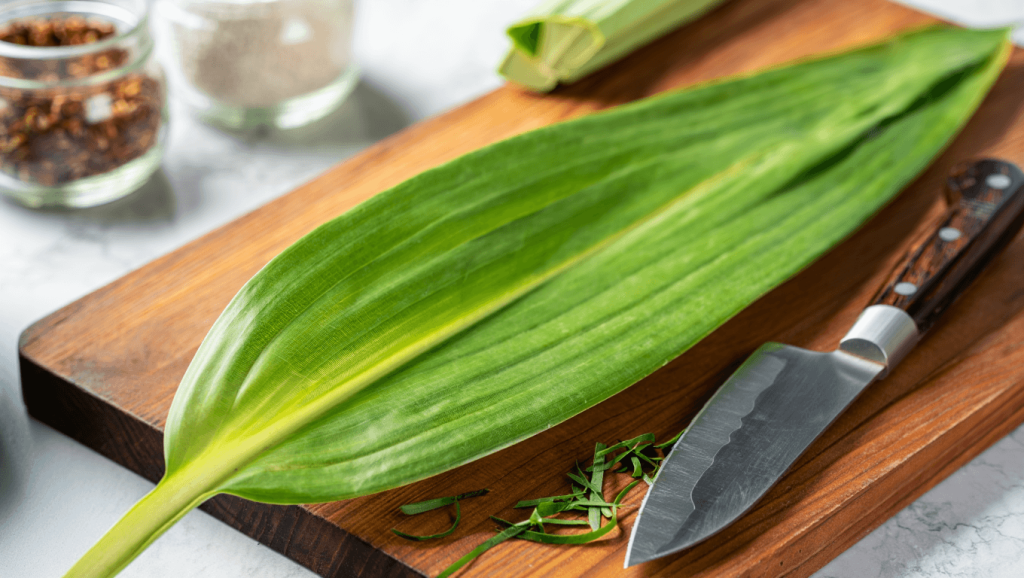 feuille de pandanus