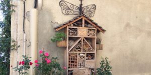 Comment fabriquer un hôtel à insectes au jardin ?