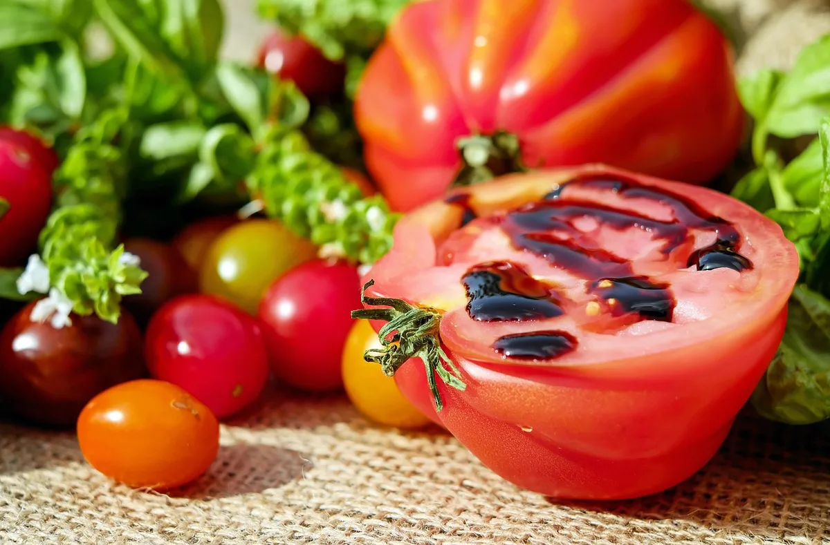 Feuilles de tomate couvertes d'un léger film protecteur