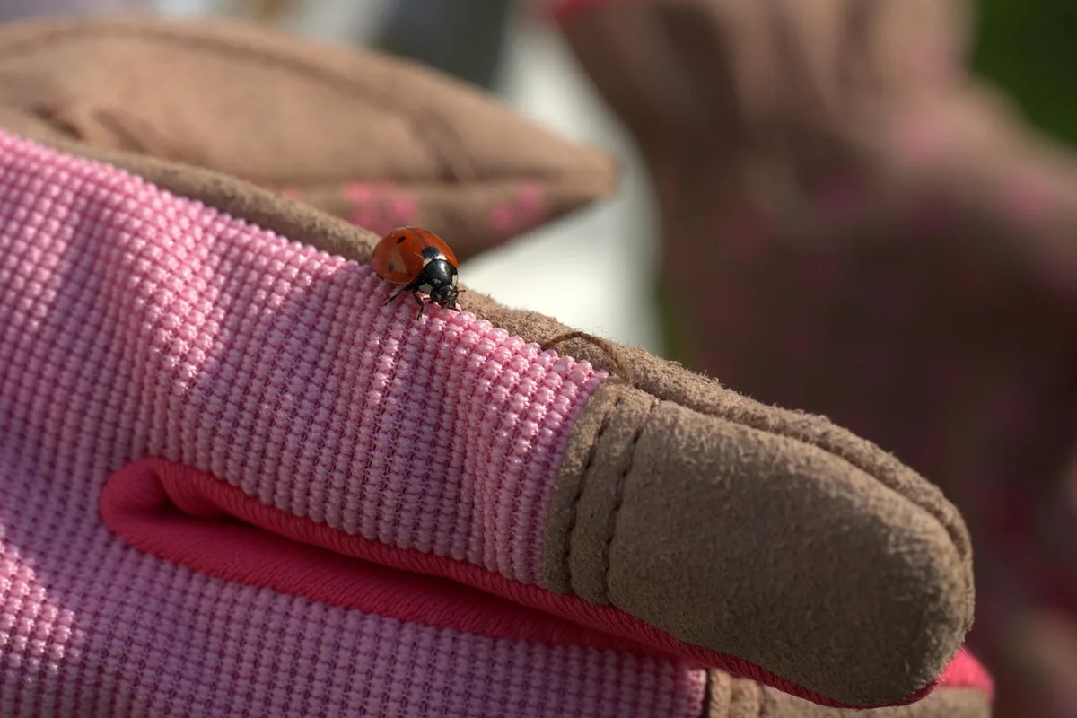 Préparation d'une solution dans un seau avec gants et matériel de protection
