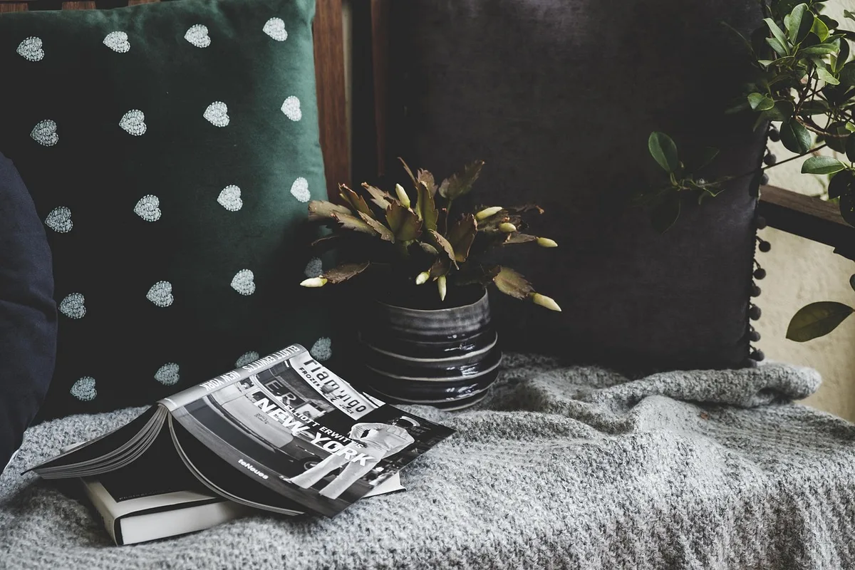 Palette en bois transformée en tête de lit, coussins et plante sur la table de chevet
