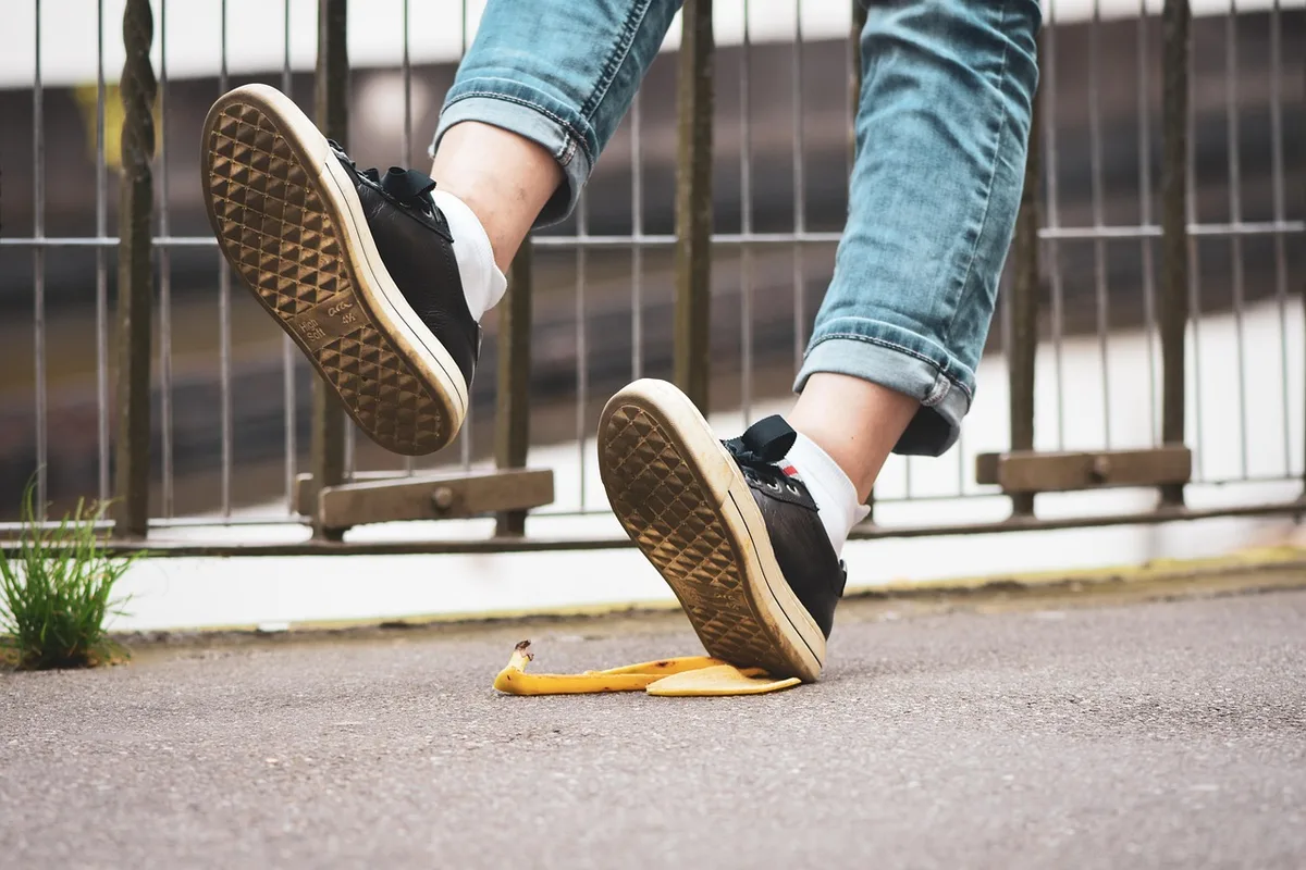 Slips de patate douce racinés dans un bocal prêts à être séparés